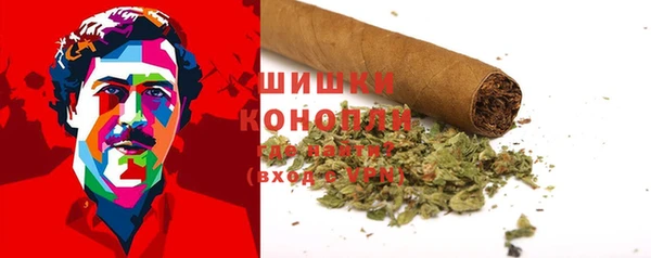 spice Верея