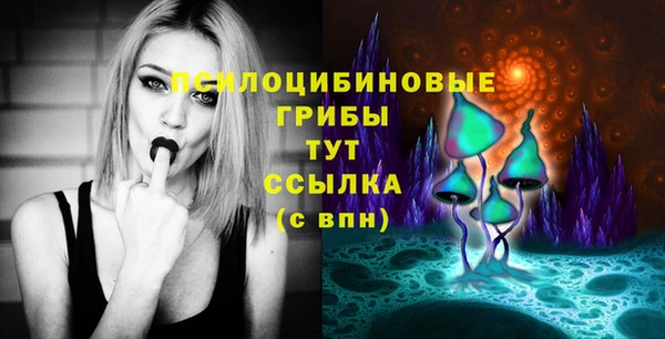 spice Верея