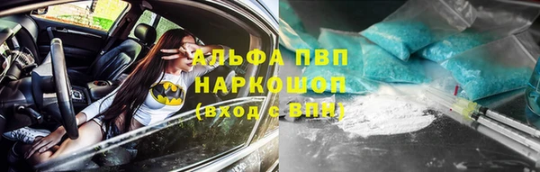 spice Верея