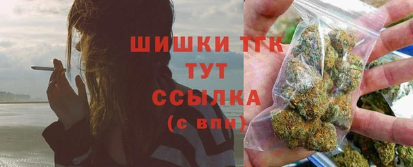 spice Верея